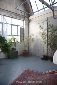 Cotton Studio - thumbnail