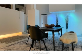 Dog Factory - loft apartment - thumbnail