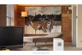 Dog Factory - loft apartment - thumbnail