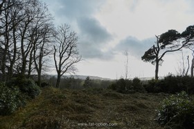 Dunford - thumbnail