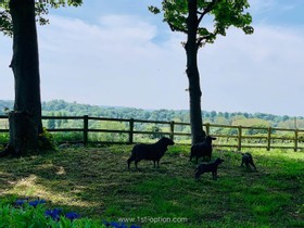 Emko - Shoot Location Creative Minimal Minimalism Clean Farm Grounds Neutral Countryside Family House - thumbnail