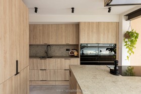 Fictus - contemporary - thumbnail