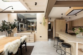 Fictus - contemporary - thumbnail