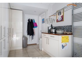 Fuchsia - aga - thumbnail