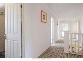 Fuchsia - aga - thumbnail