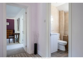 Fuchsia - aga - thumbnail