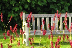 Glemham Hall - antique - thumbnail