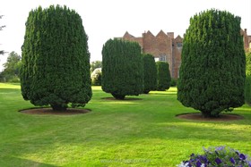Glemham Hall - antique - thumbnail