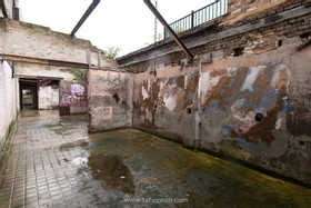 Graffiti - thumbnail