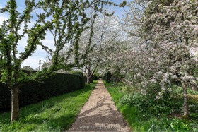 Hadlow - thumbnail