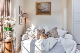 Harlequin - thumbnail