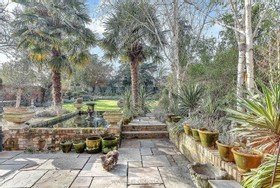 Harlequin - thumbnail