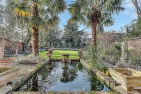 Harlequin - thumbnail