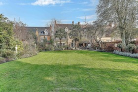 Harlequin - thumbnail