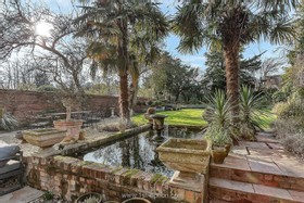 Harlequin - thumbnail