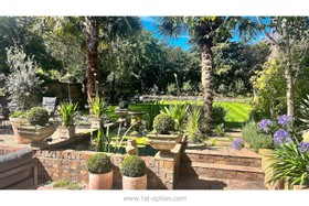 Harlequin - thumbnail