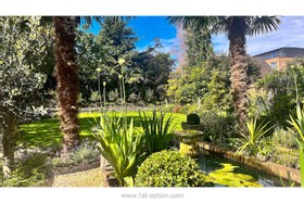 Harlequin - thumbnail