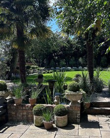 Harlequin - thumbnail