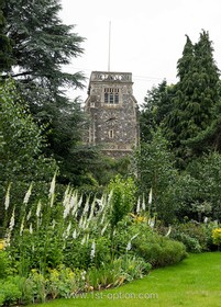 Harvest - beams - thumbnail