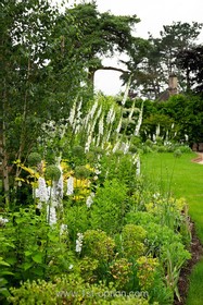 Harvest - beams - thumbnail