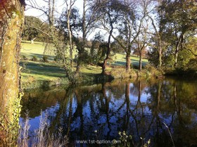 Henley House - Elizabethan manor house - thumbnail