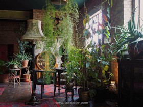 Lace Apartment South - thumbnail