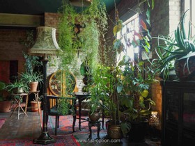 Lace Apartment South - Factory lace apartment warehouse loft conversion antique vintage retro style art deco old photoshoot shoot film set filming studio photography - thumbnail