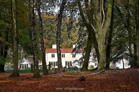Maris - parquet flooring - thumbnail