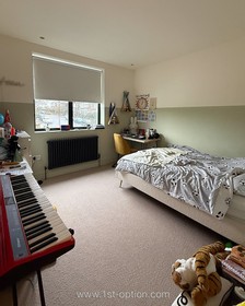 Muswell Hill - thumbnail