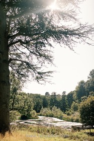 Parnham Park - thumbnail