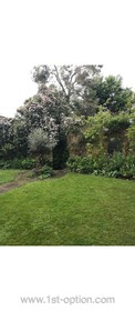 Petersham Common - thumbnail