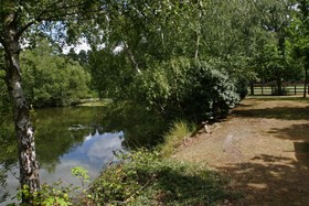 Pinewood House - thumbnail