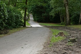 Pinewood House - thumbnail