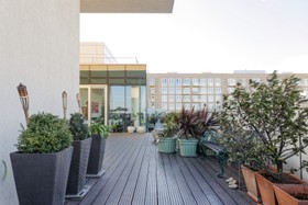 Roof Garden - thumbnail