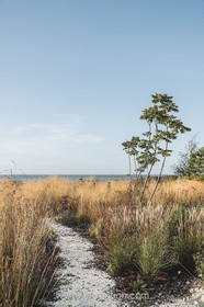 Serenity - eco house - thumbnail