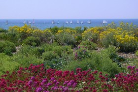 Shoreham Beach - balcony - thumbnail