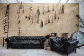 Store Cupboard - thumbnail
