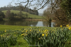 Swan Court - thumbnail