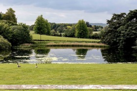 Swan Court - thumbnail