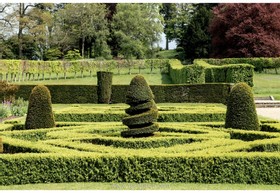 Swan Court - thumbnail