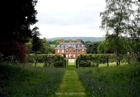 Swan Court - thumbnail