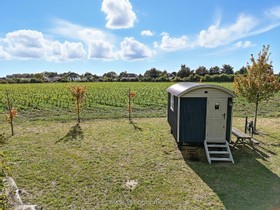Thorpe Farm - thumbnail