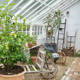 Topiary - thumbnail