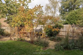 Tress - thumbnail