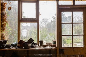 Wilder - thumbnail