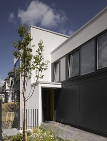 Zog House - thumbnail